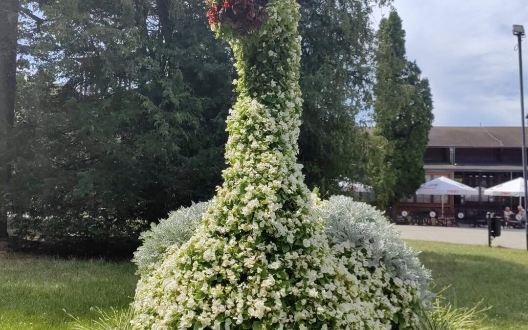 Relacja ze spaceru fotograficznego po Parku Zdrojowym w Ciechocinku